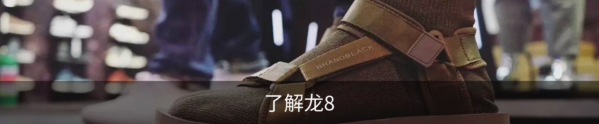 了解龙8